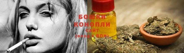 прущие грибы Грязовец