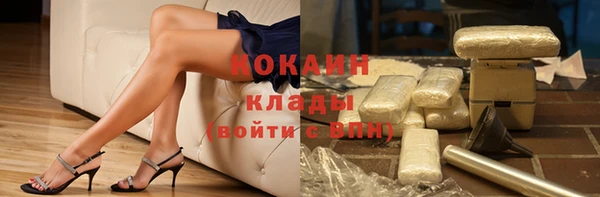 прущие крисы Губаха