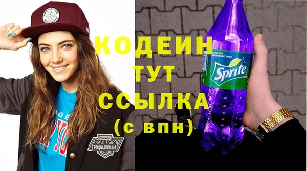 прущие грибы Грязовец