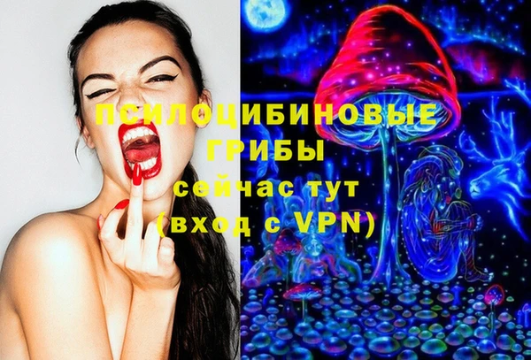 гидропоника Елизово