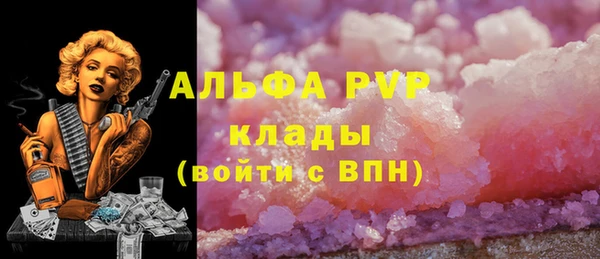 прущие крисы Губаха